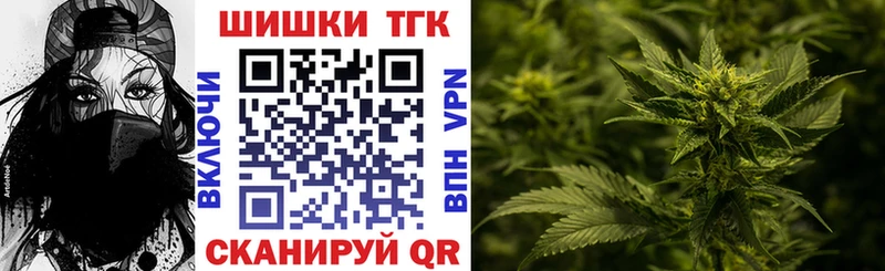 Купить где  Кинешма  Шишки марихуана SATIVA & INDICA 